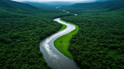 Lush green landscape with a winding river flowing through dense forest in a remote area during early morning hours