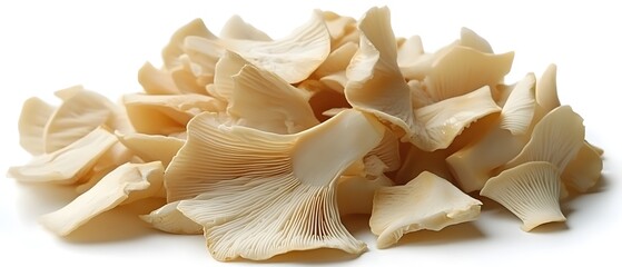 Oyster Mushroom Close Up Fresh Organic Ingredient Culinary Delicacy Healthy Food Preparation