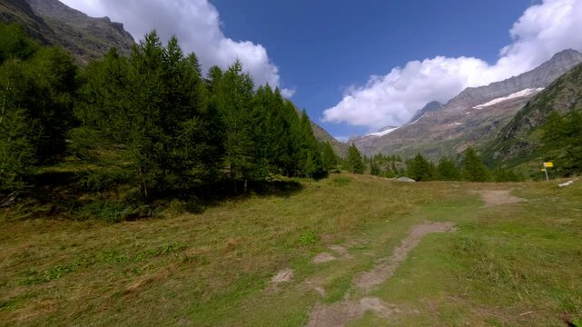 refugio Prarayer 360 mountain panorama larch forest meadows and peaks