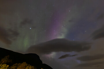 Fototapeta premium The stunning Northern Lights over Lofoten Islands, Norway, with vivid colors lighting up the night sky above mountains.