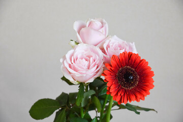 薔薇とガーベラ