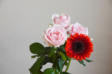 薔薇とガーベラ