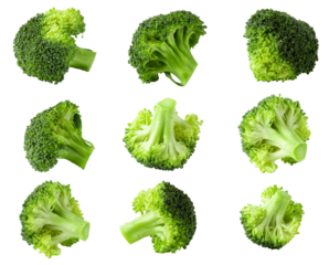 Fresh broccoli blocks for cooking isolated over transparent background.