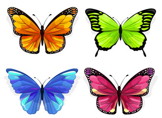 flat-butterfly-collection