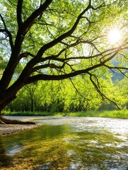 A serene river scene features a lush green tree, sunlight filtering through leaves, creating a tranquil and refreshing atmosphere.