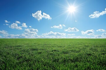 Obraz premium Serene Green Field Under a Bright Blue Sky with Fluffy Clouds and Shining Sun Rays