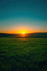 Obraz premium Vibrant Sunrise Over Green Field Landscape with Golden Light and Clear Blue Sky Horizon