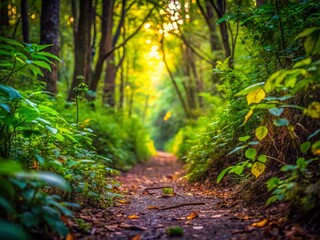 Obraz premium Macro Photography: Path Leading into Lush Forest - Nature Trail Stock Image