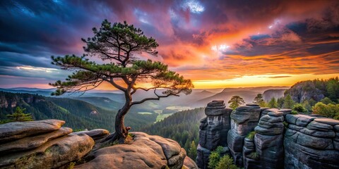 Lonely Pine on Sandstone, Bohemian Switzerland National Park, Low Light