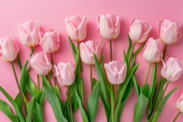 Fototapeta premium Row of pink tulips against a matching pink background, creating a vibrant and elegant floral display.