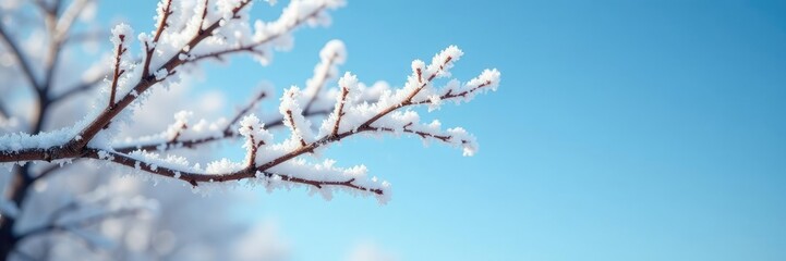 Frosty details on tree branch against clear blue sky, serenity, frosty branches, calm atmosphere