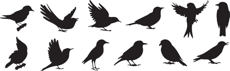 A collection of black silhouettes of birds in different poses, including flight and stationary positions.