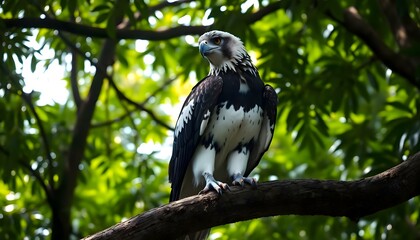 Fototapeta premium a large bird perched on top of a tree branch