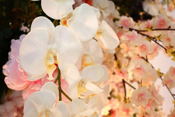 Flowers on white background,Wedding flowers that decorate in the wedding,Wedding bouquet
,White and pink flowers for decoration