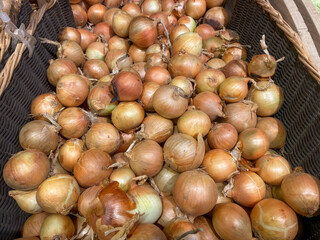 Peeled onions lie in a basket on the counter