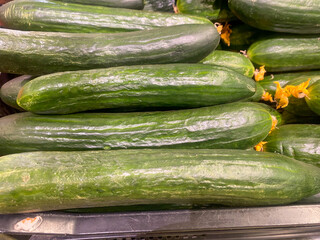 Green long smooth cucumber on the counter in the store