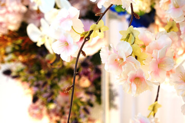 Flowers on white background,Wedding flowers that decorate in the wedding,Wedding bouquet
,White and pink flowers for decoration