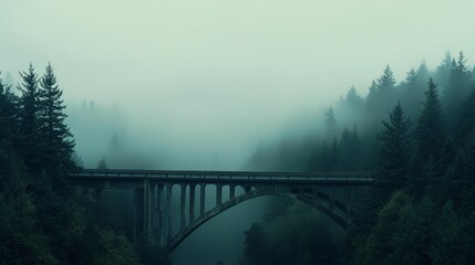 Fototapeta premium A foggy morning envelopes a classic arched bridge amidst a dense forest, evoking mystery and serenity.
