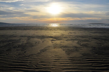 Seascape. Sandy seashore at sunset at low tide