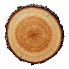 Fototapeta premium Natural Wooden Log Slice with Bark for Artistic Creations