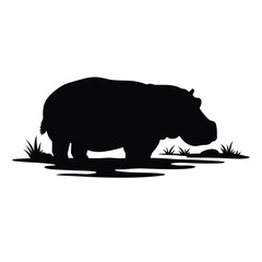 rhino vector illustration