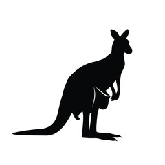 kangaroo with baby