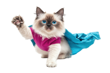 A playful superhero cat in a pink shirt and blue cape, showcasing its charming personality against a white background. transparent PNG