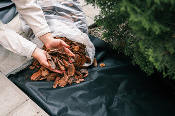 Hands pouring decorative bark mulch onto a black landscape fabric for garden bed protection....