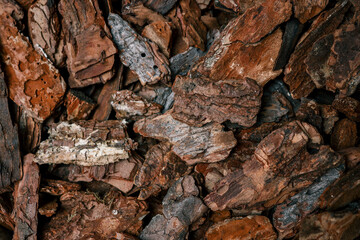 Close-up of natural bark mulch with rough texture and earthy tones. Organic material used for...