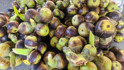 Fresh fruit of palm sugar trees for sugar production and beverages and desserts in thailand