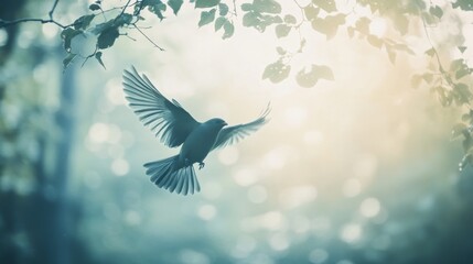 Obraz premium A bird gracefully hovers mid-air, wings fully spread, floating amid soft morning light and nature’s muted colors.