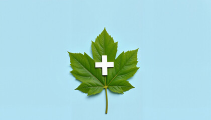 Crisp leaf with medical cross on pastel blue background, health concept