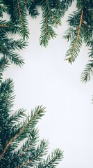 Obraz premium Winter Wonderland: A Festive Frame of Snow-Dusted Pine Branches