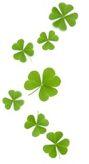 Four leaf clovers falling down on white background. Green shamrocks floating in mid-air, symbolizing luck and prosperity. Fresh shamrock leaves scattered dynamically on a clean white background
