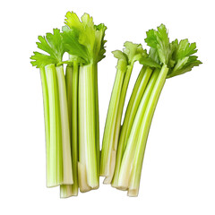 Celery sticks isolated on transparent background