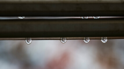 Transparent water drops reflecting branches