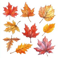 Fototapeta premium A vibrant collection of autumn leaves showcasing rich colors and textures, perfect for seasonal projects.