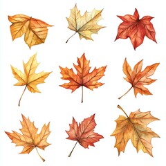 Fototapeta premium Collection of vibrant autumn leaves in various colors and shapes, perfect for nature-themed designs.