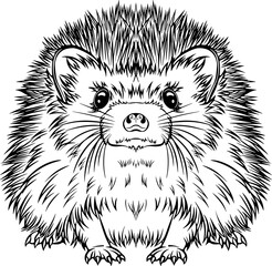 Realistic hedgehog front view. Wild forest animal. Vector illustrations in hand drawn sketch style isolated on white. Black outline animal graphic. Design for coloring book page, print