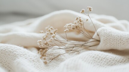 Delicate dried flowers rest softly on a woven fabric, creating a soothing and minimalist composition of natural elegance and texture.