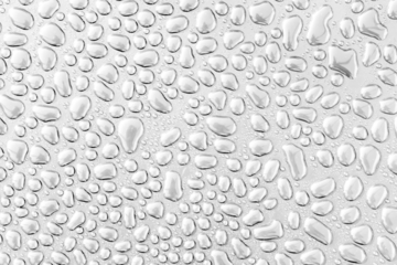 water drops on a transparent background
