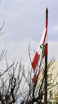 Beirut, Lebanon 01 26 2025: Lebanese flag waving near a bare tree representing Lebanon's ongoing challenges and resilience. 