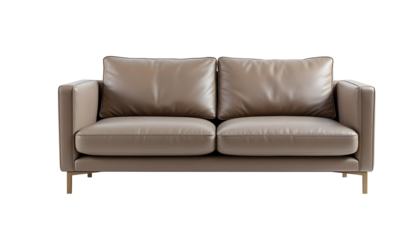 modern sofa with minimalist interior 1