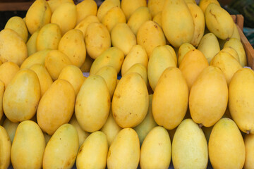 Ripe Golden Mangoes on Display