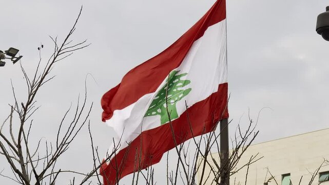 Beirut, Lebanon 01 26 2025: Lebanese flag waving near a bare tree representing Lebanon's ongoing challenges and resilience. 