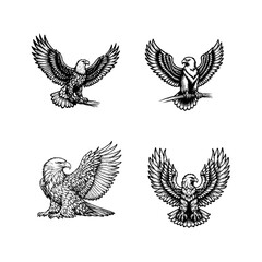 Fototapeta premium eagle