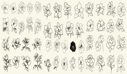 Stylized black line art of gardenias, hand-drawn wedding herbs, chic logos, botanical floral branch, trendy greenery, luxury branding, modern invitations, event decor,