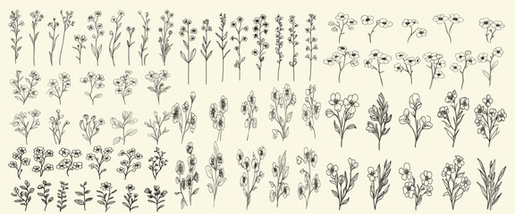 Obraz premium Minimalist botanical floral branch hand drawn with trendy greenery set for modern branding, stylized black line art of forget-me-nots for wedding stationery, elegant floral designs, wedding decor.