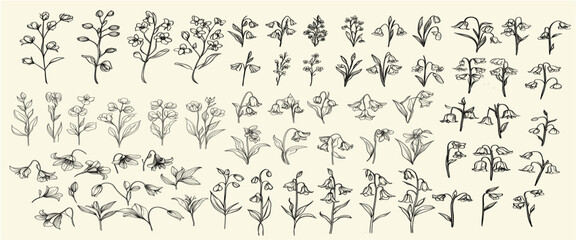 Vintage wedding logos with stylized black line art of bluebells, feminine botanical floral branches, trendy greenery, perfect for elegant stationery, personalized decor, classic branding