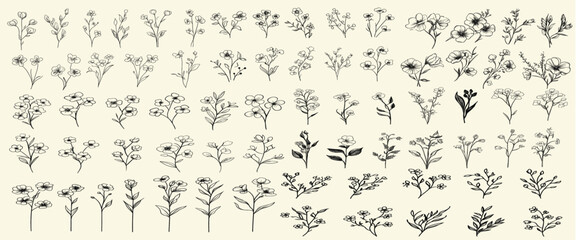 Minimalist botanical wedding herbs, hand-drawn forget-me-nots, rustic greenery for invitations, trendy floral branch, black line art for decor and branding, wedding logo designs, floral logo ideas.